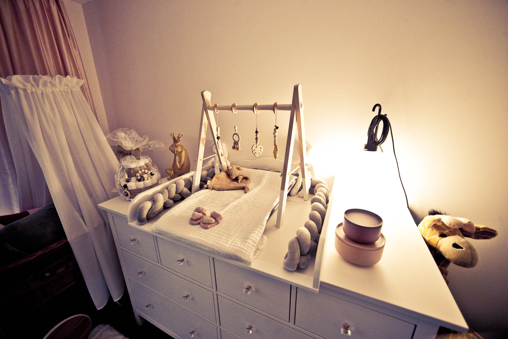 Export x3 1DX26380 Fotoshooting 2020 Zito